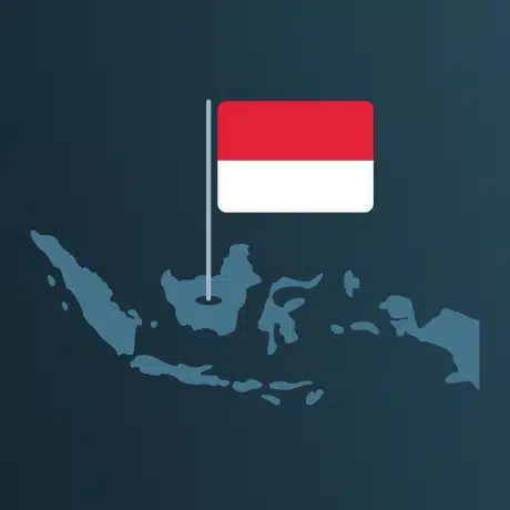 Indonesia data protection law: Are you compliant?