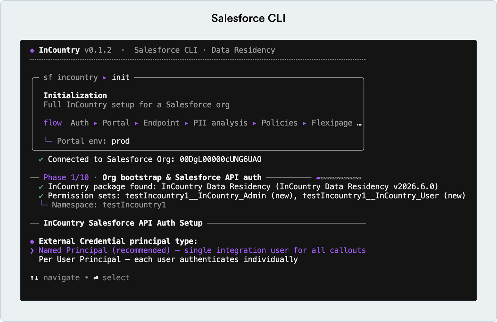 Salesforce CLI