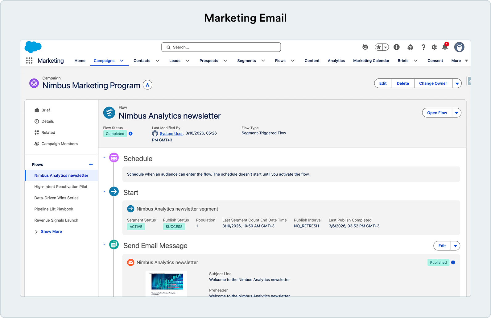 Marketing Email